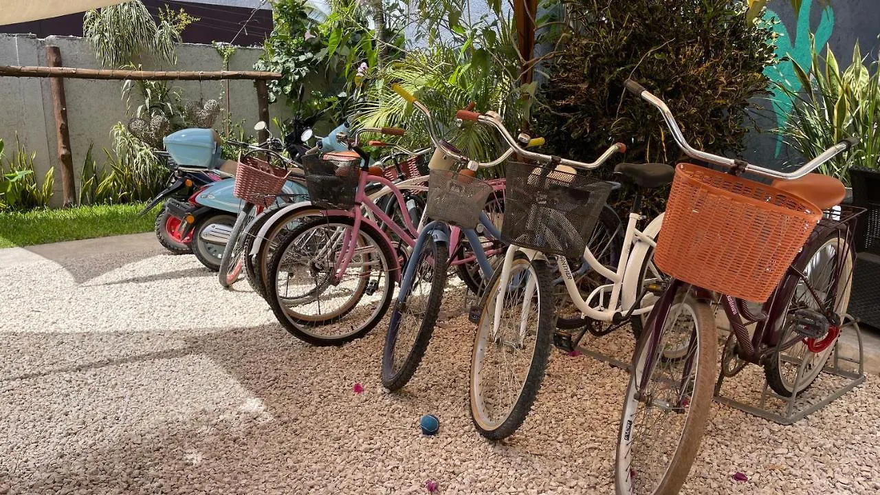 Casa Villamatisse Tulum 0*,